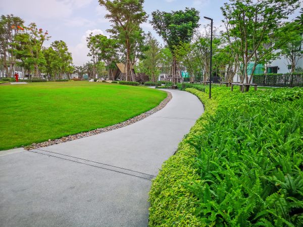 Cement Walkway Service in Bolingbrook