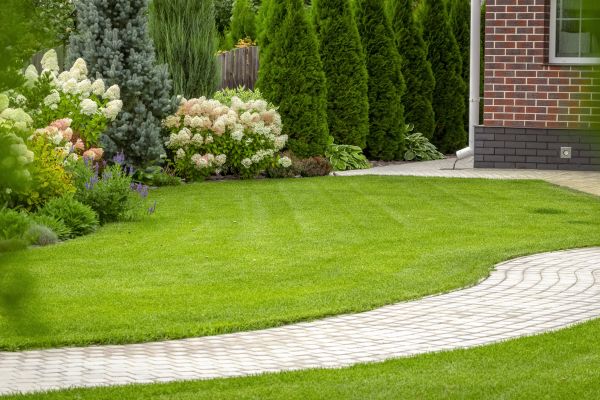 Landscape Walkway Installation in Bolingbrook